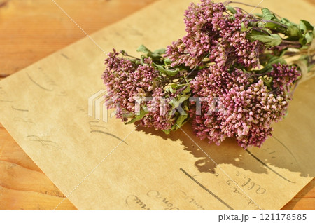 フジバカマのドライフラワーの小さな花束 フジバカマのドライフラワーの小さな花束 121178585