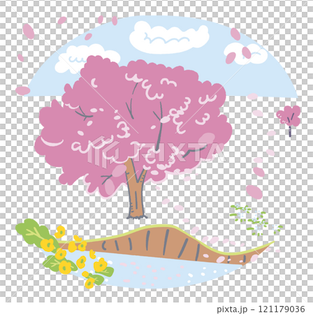 河邊盛開的大櫻花樹 庫存插畫素材 121179036