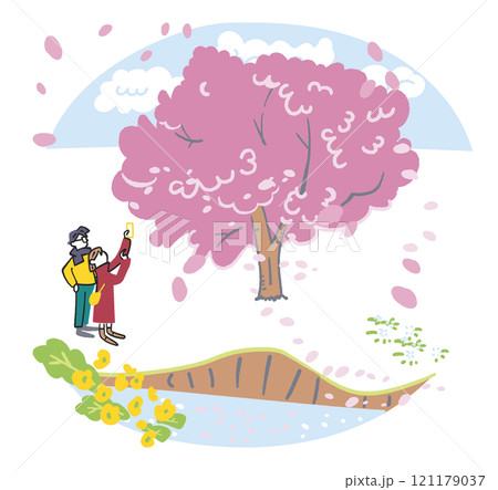 満開の桜を撮影するカップル　ストックイラスト素材 121179037