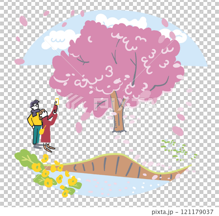 満開の桜を撮影するカップル　ストックイラスト素材 121179037