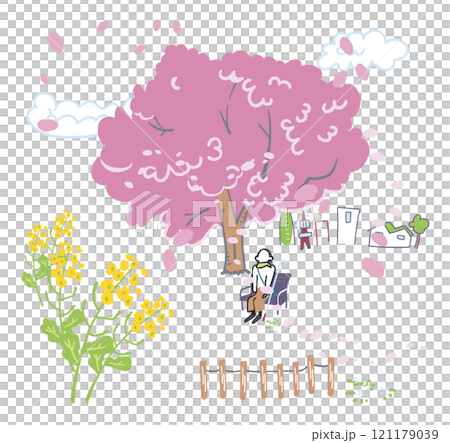 満開の桜の下でベンチで休憩する白杖を持った視覚障碍者　ストックイラスト素材 121179039