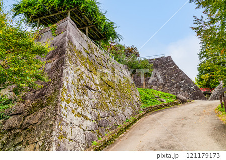 岩手　盛岡城跡公園　本丸と二の丸の間の空堀 121179173