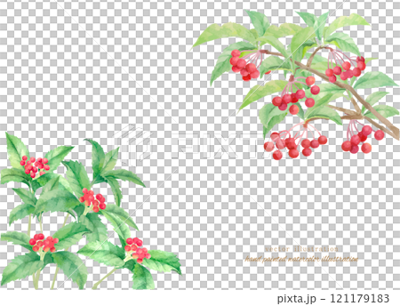 Watercolor vector illustration of Senryo and Manryo 121179183