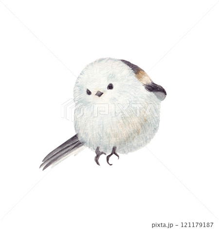 水彩手書きの可愛いシマエナガ 水彩手書きの可愛いシマエナガ 121179187