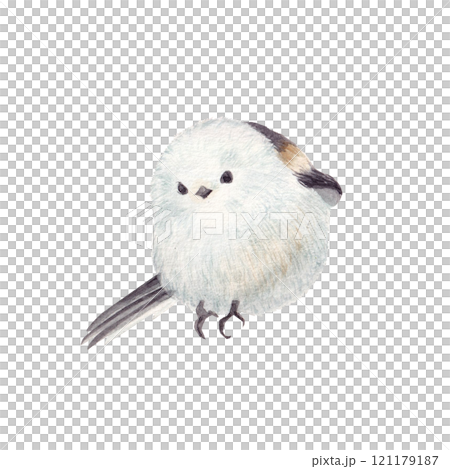 水彩手書きの可愛いシマエナガ 水彩手書きの可愛いシマエナガ 121179187