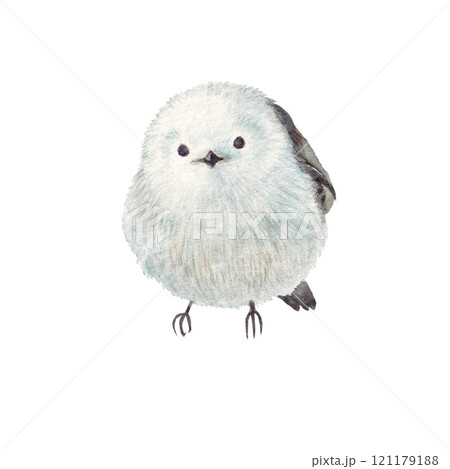 水彩手書きの可愛いシマエナガ 121179188