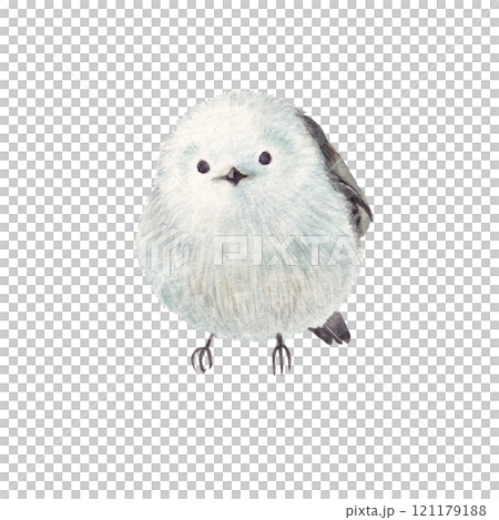 水彩手書きの可愛いシマエナガ 121179188