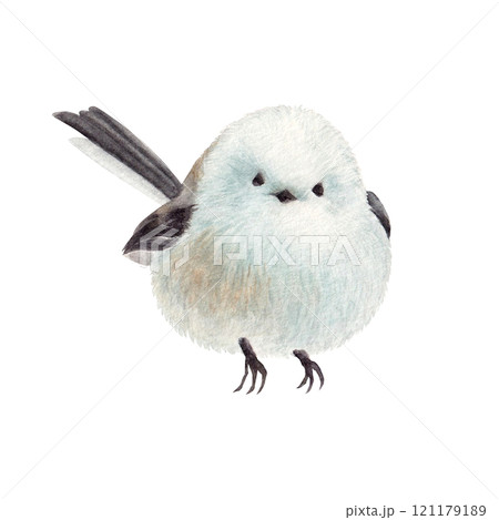 水彩手書きの可愛いシマエナガ 水彩手書きの可愛いシマエナガ 121179189