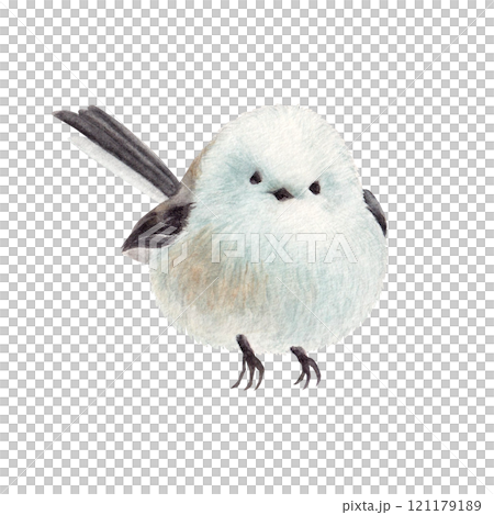 水彩手繪可愛條紋長尾蛾 水彩手繪可愛條紋長尾蛾 121179189