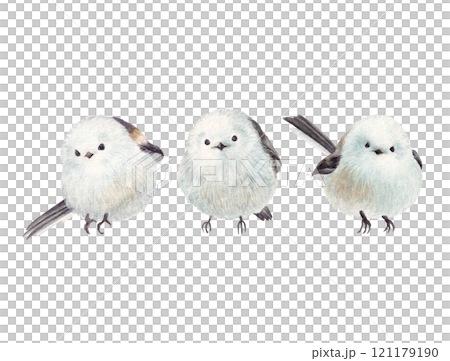 Three cute long-tailed tits drawn by watercolor 121179190