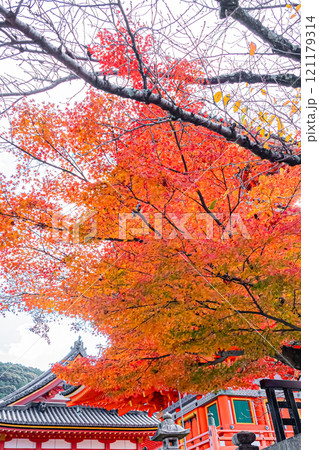 京都　清水寺の秋の風景 121179314