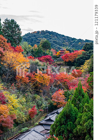 京都　清水寺の秋の風景 121179339