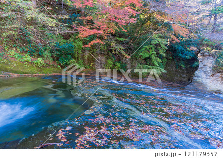 【千葉県】房総養老渓谷・粟又の滝　上流部の紅葉 121179357