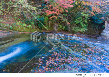 【千葉県】房総養老渓谷・粟又の滝　上流部の紅葉 121179358