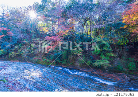 【千葉県】房総養老渓谷・粟又の滝　上流部の紅葉 121179362