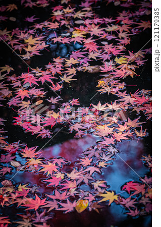 京都 清水寺の秋の風景 京都 清水寺の秋の風景 121179385