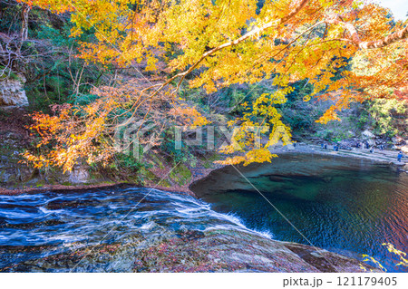 【千葉県】紅葉最盛期の房総養老渓谷・粟又の滝　滝壺を見下ろす 121179405