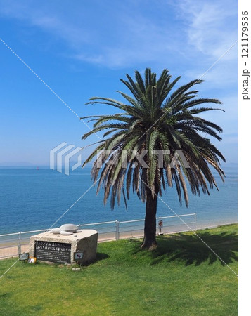 ウミガメの産卵地・戸形海岸【香川県小豆島】 ウミガメの産卵地・戸形海岸【香川県小豆島】 121179536