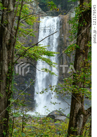 苗名滝の渓流 121179545