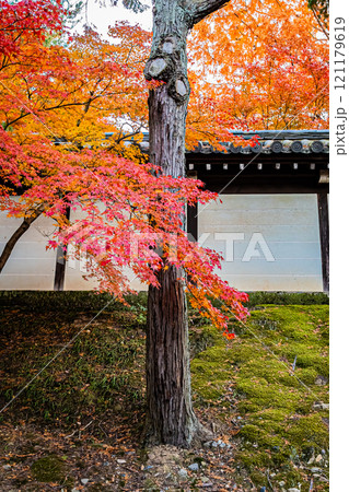 京都　秋の風景 121179619
