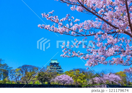 大阪城の桜 121179674