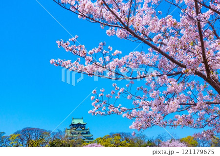 大阪城の桜 121179675