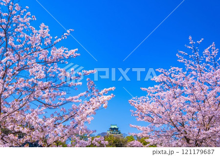 大阪城の桜 121179687