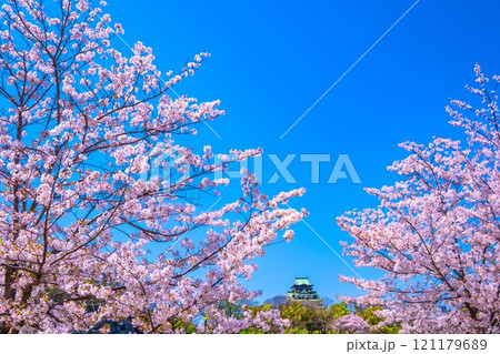 大阪城の桜 121179689