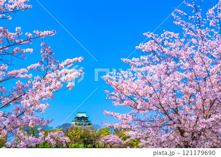大阪城の桜 大阪城の桜 121179690