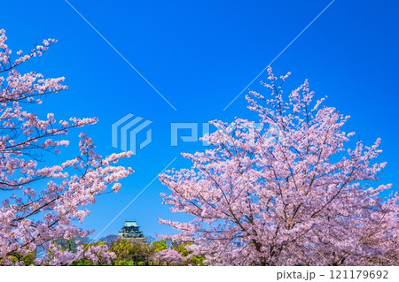 大阪城の桜 121179692