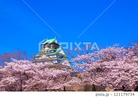 大阪城と西の丸庭園の桜 大阪城と西の丸庭園の桜 121179734
