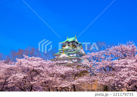 大阪城と西の丸庭園の桜 121179735