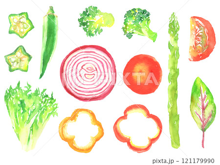 水彩で描いた色々なサラダ野菜のイラスト 水彩で描いた色々なサラダ野菜のイラスト 121179990