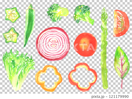 Illustration of various salad vegetables painted in watercolor 121179990
