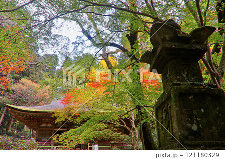 秋の室生寺・本堂（奈良県・宇陀市） 121180329