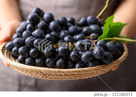 Black grapes in basket holding by hand, Seedless grapes 121180371