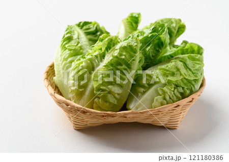 Baby cos lettuce romaine in basket on white background, Fresh vegetable 121180386