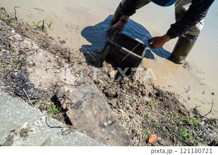 rice-planting 121180721