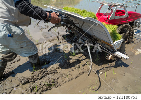 rice-planting 121180753