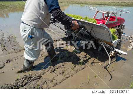 rice-planting rice-planting 121180754