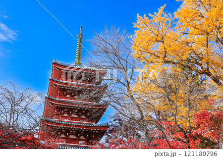 【千葉県松戸市】本土寺の紅葉と五重塔の風景 【千葉県松戸市】本土寺の紅葉と五重塔の風景 121180796