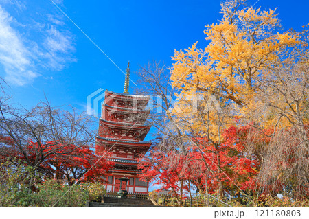 【千葉県松戸市】本土寺の紅葉と五重塔の風景 121180803