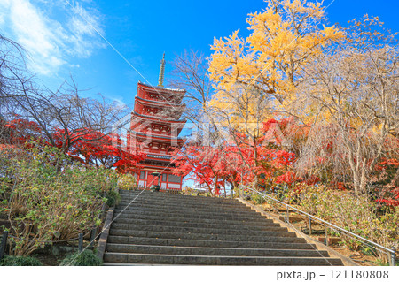 【千葉県松戸市】本土寺の紅葉と五重塔の風景 【千葉県松戸市】本土寺の紅葉と五重塔の風景 121180808