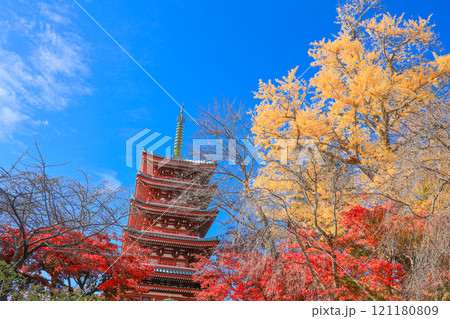 【千葉県松戸市】本土寺の紅葉と五重塔の風景 【千葉県松戸市】本土寺の紅葉と五重塔の風景 121180809