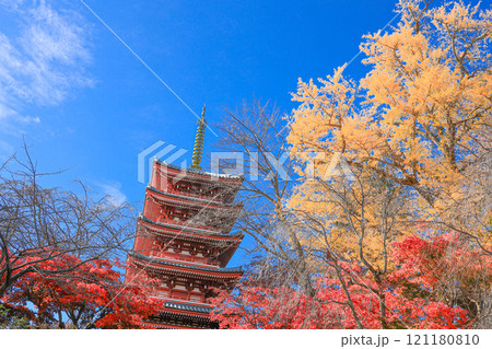 【千葉県松戸市】本土寺の紅葉と五重塔の風景 121180810