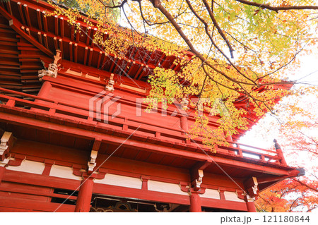 【千葉県松戸市】本土寺の仁王門と紅葉の風景 【千葉県松戸市】本土寺の仁王門と紅葉の風景 121180844