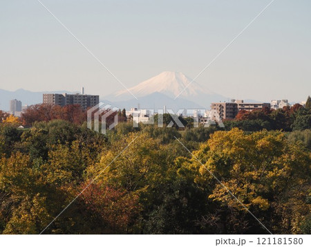 川口市の荒川堤から見えた晩秋の富士山 川口市の荒川堤から見えた晩秋の富士山 121181580