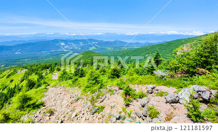 夏の四阿山・根子岳登山(中尾根コース:北アルプス方面の眺め) 夏の四阿山・根子岳登山(中尾根コース:北アルプス方面の眺め) 121181597