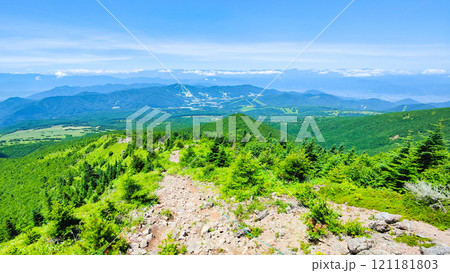 夏の四阿山・根子岳登山(中尾根コース:北アルプス方面の眺め) 夏の四阿山・根子岳登山(中尾根コース:北アルプス方面の眺め) 121181803