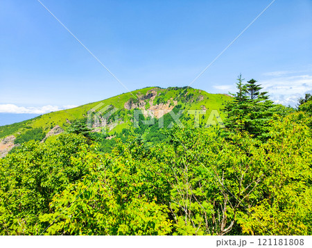 夏の四阿山・根子岳登山(中尾根コース:根子岳を望む) 夏の四阿山・根子岳登山(中尾根コース:根子岳を望む) 121181808